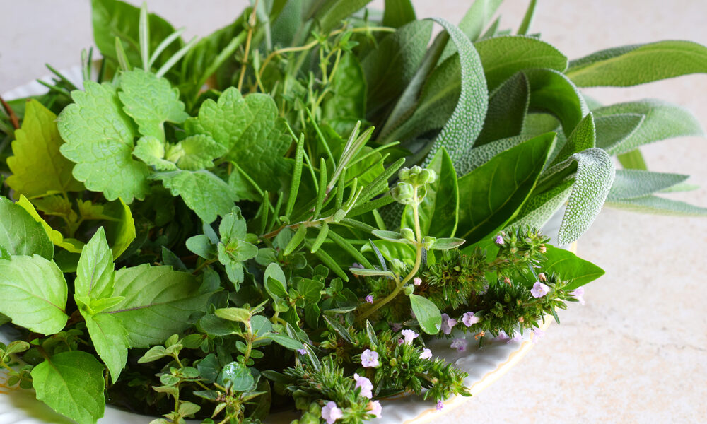Bylinky na ženské zdravie – čerstvá mäta, šalvia, tymian a oregano na tanieri