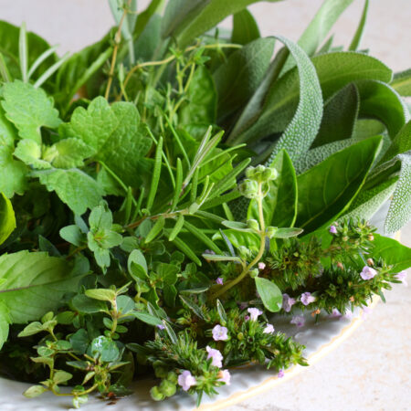 Bylinky na ženské zdravie – čerstvá mäta, šalvia, tymian a oregano na tanieri