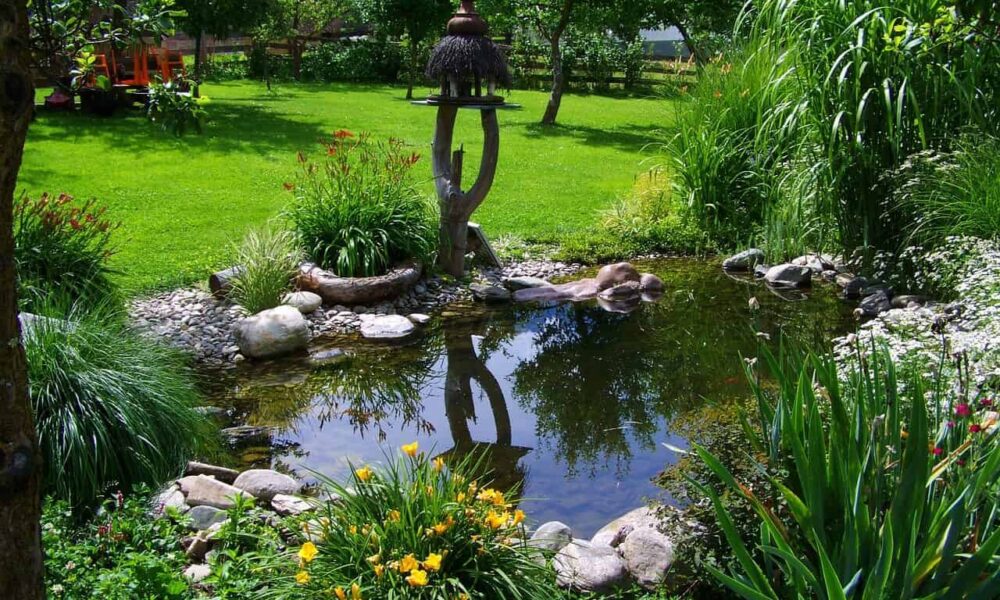 Aké rastliny vysadiť pri vodnej ploche vo vašej záhrade