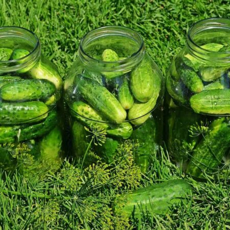 Tri poháre plné kvasených uhoriek na tráve