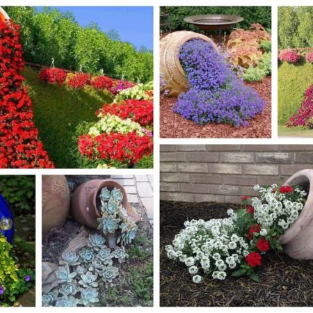 Nový trend vo vašej záhrade