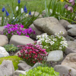 farebná záhradná skalka s kameňmi a kvitnúcimi rastlinami ako inšpirácia na nápady na skalky