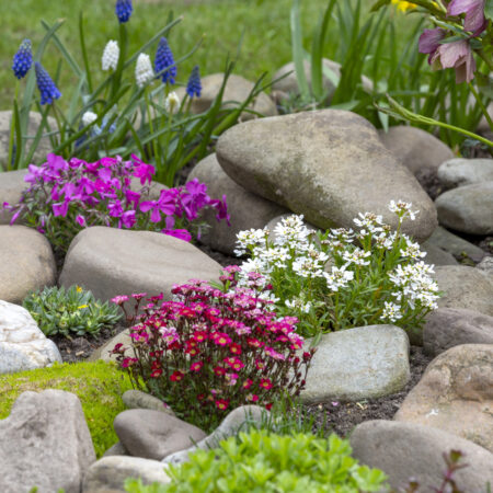 farebná záhradná skalka s kameňmi a kvitnúcimi rastlinami ako inšpirácia na nápady na skalky