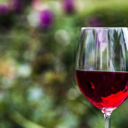 recept na šípkové víno