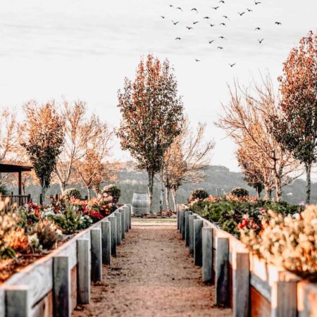 prečo sa väčšina plodín nepestuje v jeseň