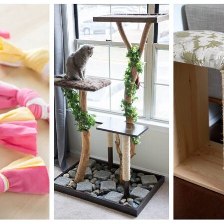 hračky pre zvieratá