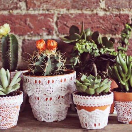 Kvetináče s čipkou