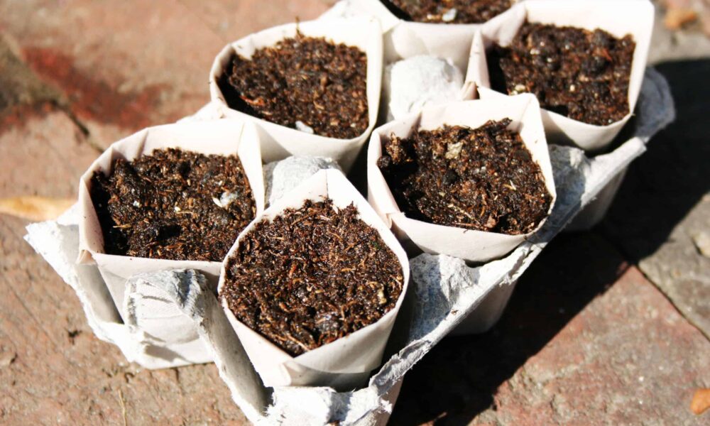 papierové kvetináče