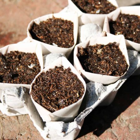 papierové kvetináče