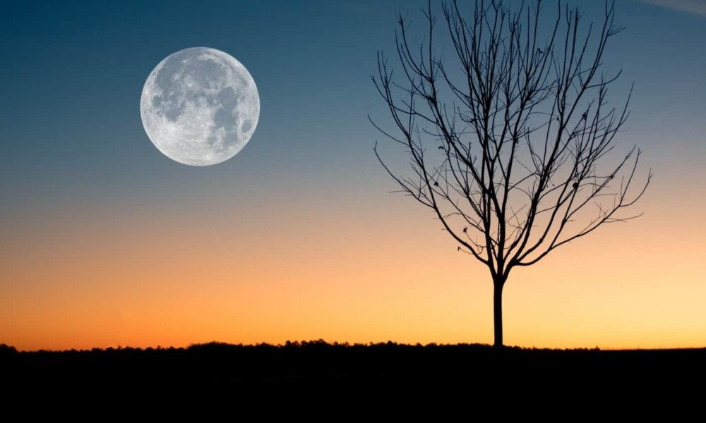 Záhradníčenie pri svite Mesiaca je fenomén, ktorý musíte vyskúšať