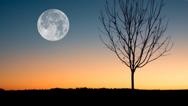 Záhradníčenie pri svite Mesiaca je fenomén, ktorý musíte vyskúšať