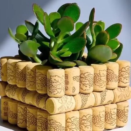 Ak hľadáte spôsoby, ako recyklovať staré veci, vyskúšajte tento korkový kvetináč.