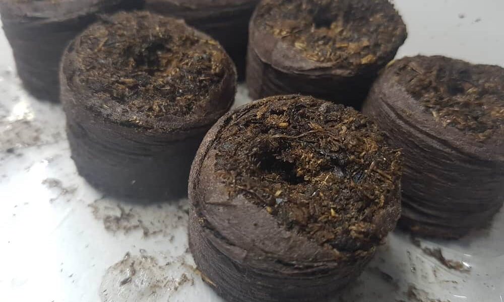 rašelinové tablety