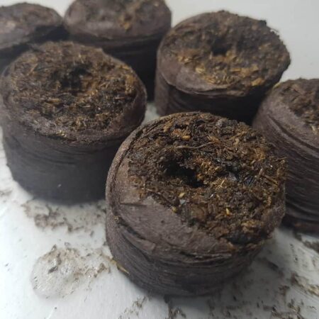 rašelinové tablety