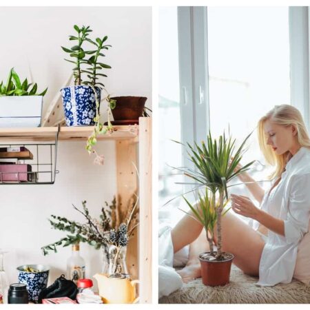 aby vyzerali umelé rastliny ako živé