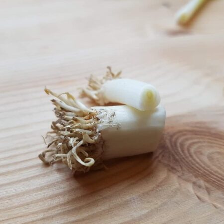 Už si nikdy nemusíte kupovať jarnú cibuľku z obchodu