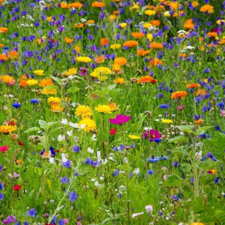 3 prekvapivé spaľovače tukov, poznáte ich?