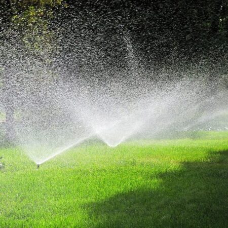 Správne zavlažovanie je mimoriadne dôležité