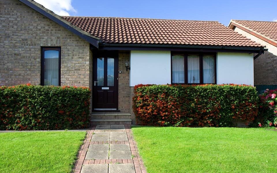 zakladanie trávnika