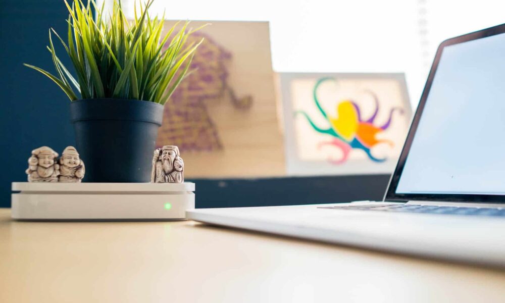 ako udržať izbové rastliny šťastné