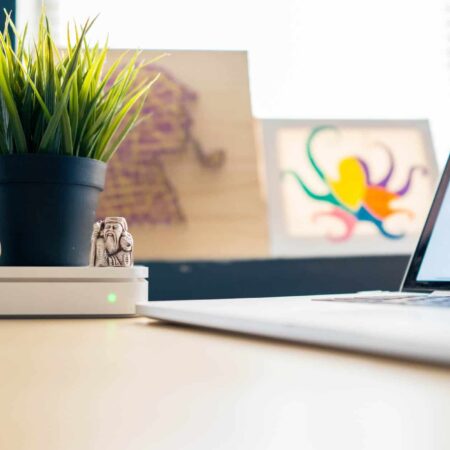 ako udržať izbové rastliny šťastné