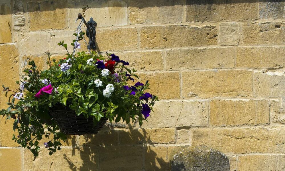 ako vysadiť kvety v závesnom koši