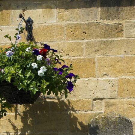 ako vysadiť kvety v závesnom koši