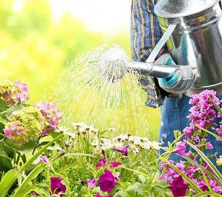 Ako zavlažovať záhradu