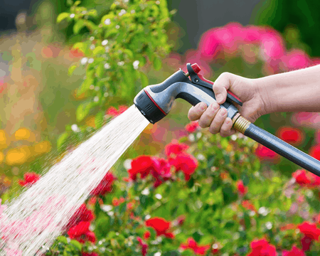 sucho v záhrade - zavlažovanie