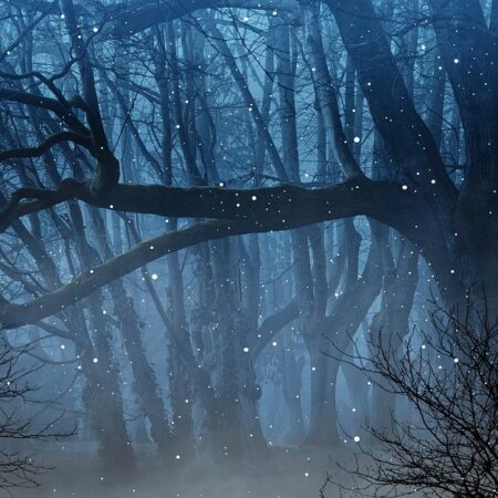 ako prilákať viac svetlušiek do vašej záhradky