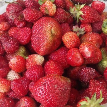 Chutný recept na jahody vo vlastnej šťave