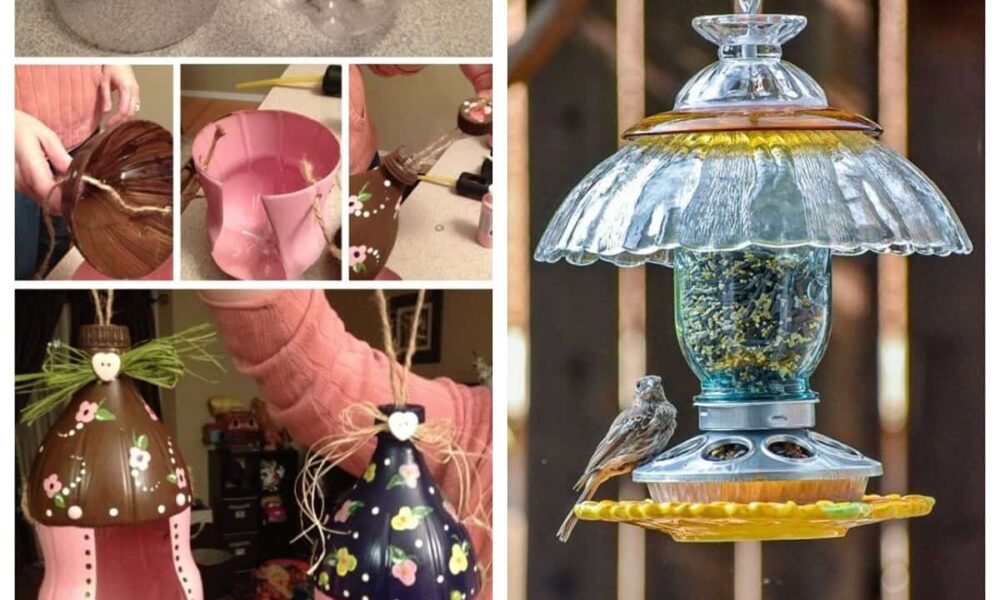 7 úžasných nápadov pre domáce kŕmidlá