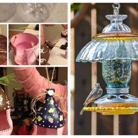 7 úžasných nápadov pre domáce kŕmidlá
