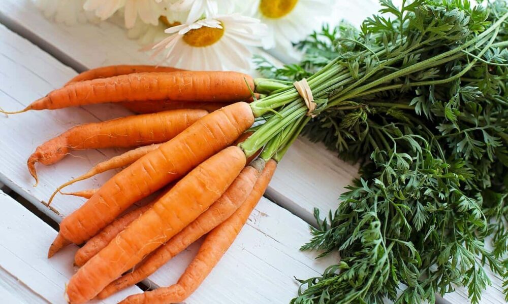 Recept na kvasenú mrkvu s cibuľou