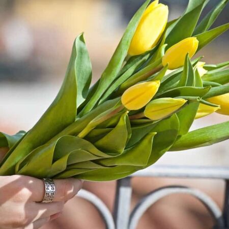 kvety - recept na dlhší život