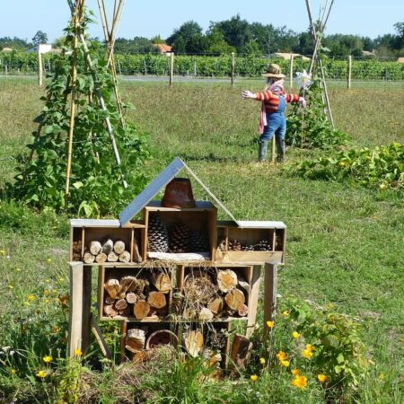 permakultúrna záhrada