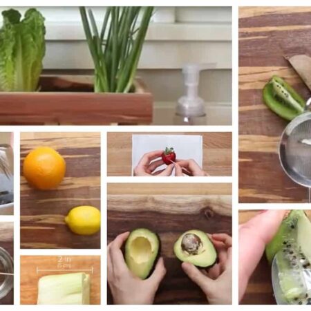 Záhrada doma v kuchyni z odpadu