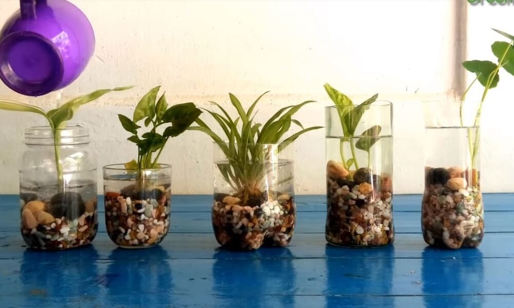 záhradku bez pôdy a z recyklovaného materiálu