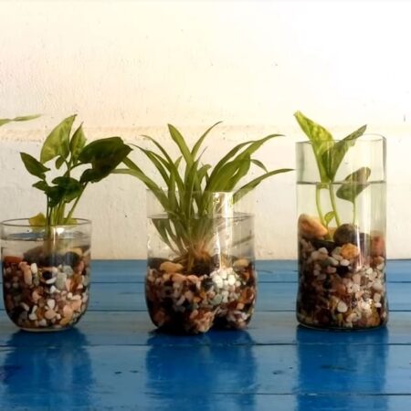 záhradku bez pôdy a z recyklovaného materiálu