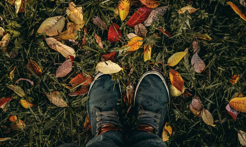 leto je preč, pripravte záhradku na jeseň