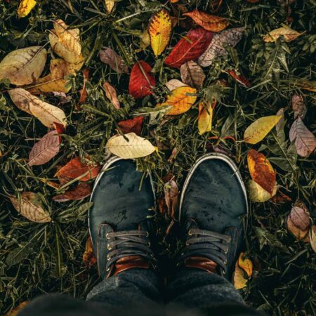 leto je preč, pripravte záhradku na jeseň