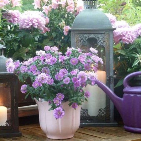 Rozžiarte svoj balkón aj na jeseň