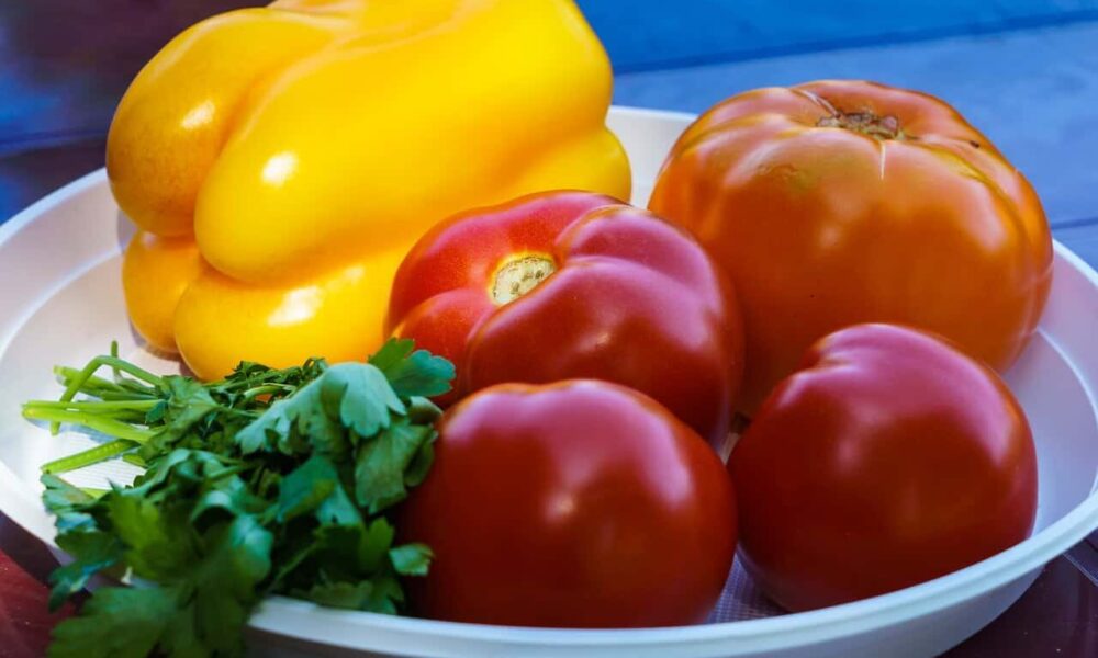 paprika v rajčiakovom pretlaku - recept