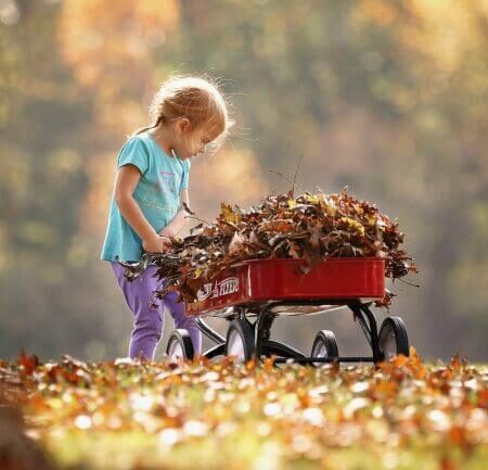 nehrabať lístie novým trendom v záhrade