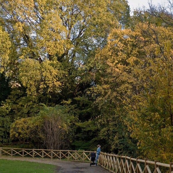 Predstavujeme vám tajomnú záhradu v Miláne