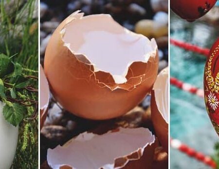 využitie vaječných škrupín