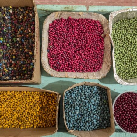 acai a jeho benefity na naše zdravie