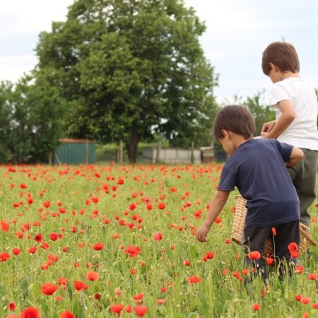 ako učiť deti v záhrade