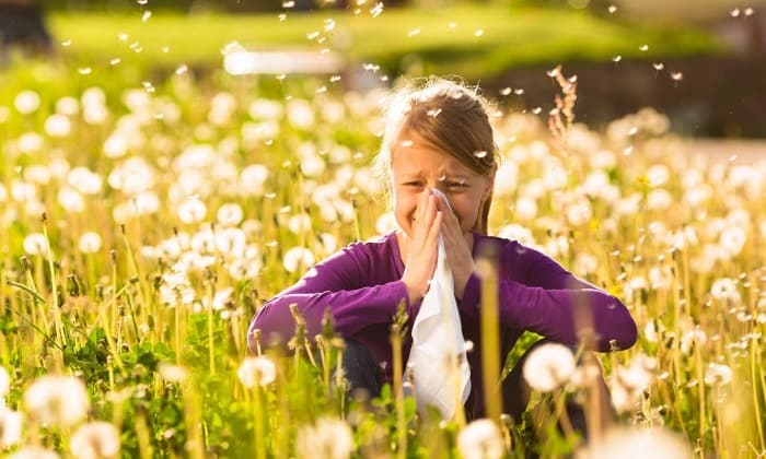 9 skvelých tipov pre alergikov, ako zvládnuť peľovú sezónu