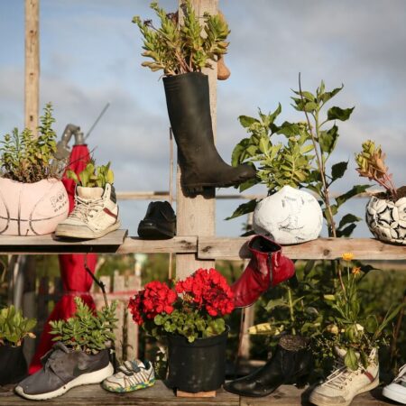 pestovanie rastlín v topánkach